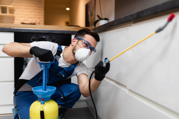 Best Local Pest Control Services  in Forest Meadows, CA