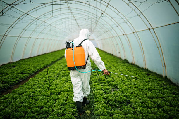 Trusted Forest Meadows, CA Pest Control Experts