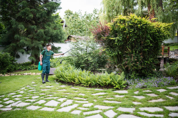 Best Pest Inspection Near Me  in Forest Meadows, CA