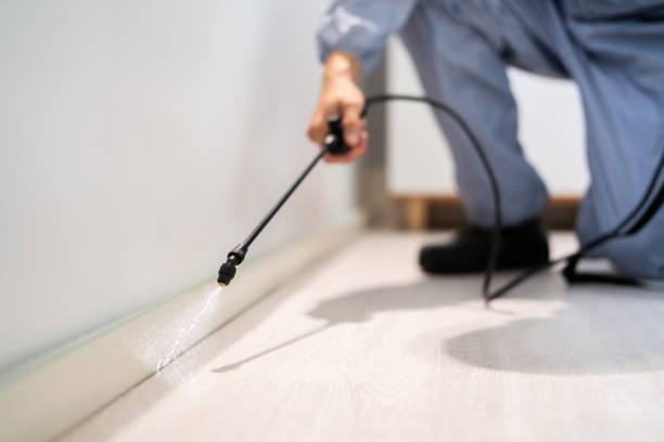 Best Local Pest Control Services  in Forest Meadows, CA