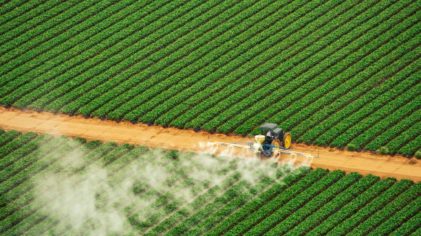 Pest Control Cost in Forest Meadows, CA