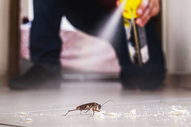 Wildlife Control Services in Forest Meadows, CA