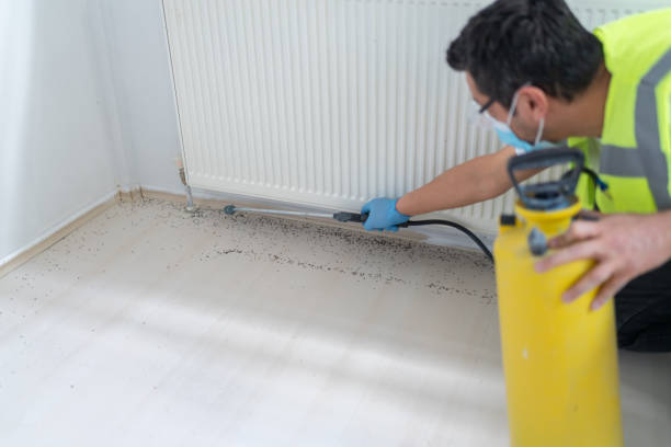 Best Commercial Pest Control Services  in Forest Meadows, CA